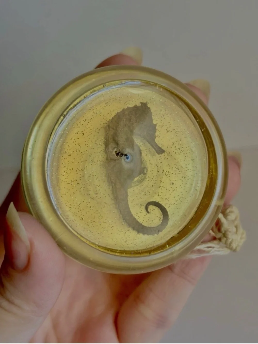 Vintage Sea Rider Preserved Resin Seahorse 90s Yo-Yo Retro Toy
